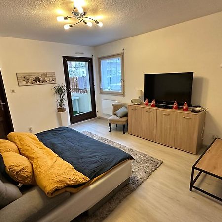 Superbe F2 Terrasse, Route Du Vin, Florival Apartment Guebwiller Exterior photo